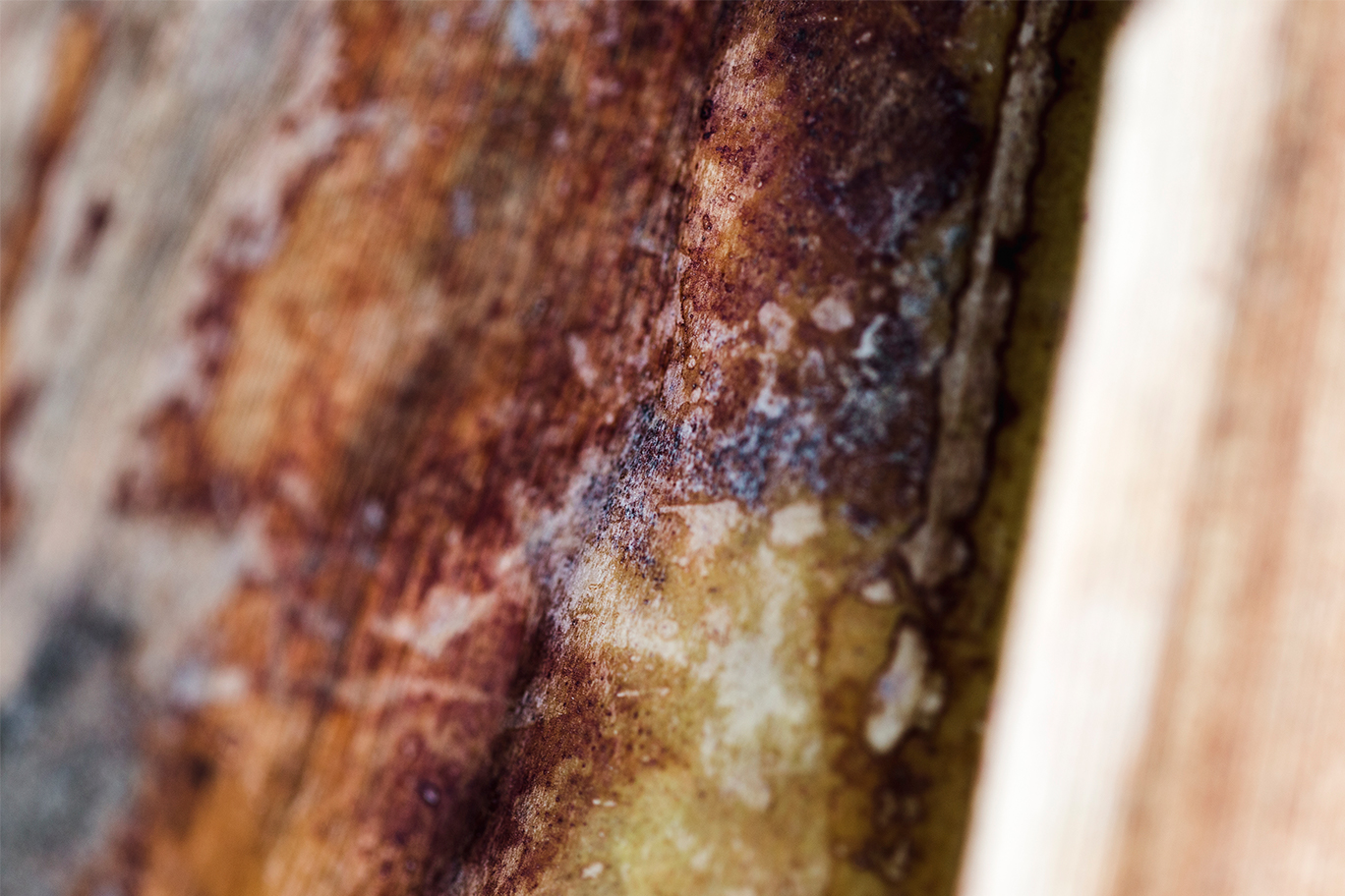 КОРРОЗИЯҒА ҚАРСЫ ИНГИБИТОР