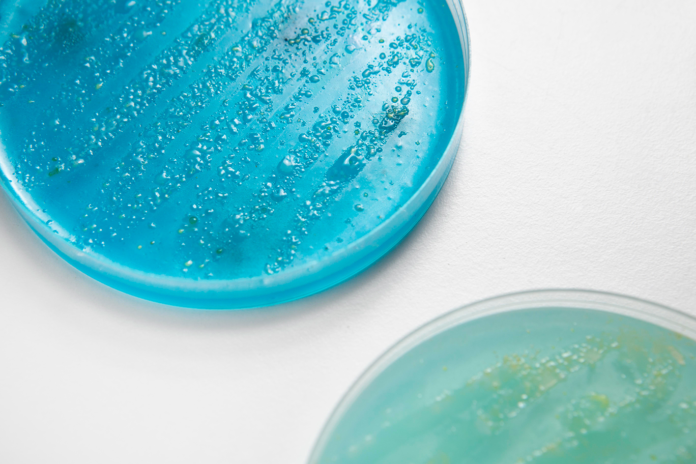 САЛМАҚТАУШЫ ЗАТТАР